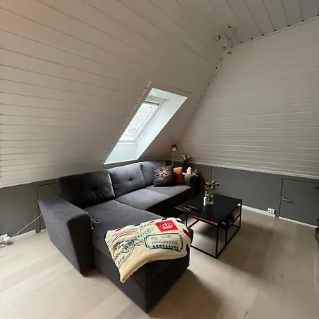 Apartment Lovely Penthouse With Private Outdoor Terrace Bergen