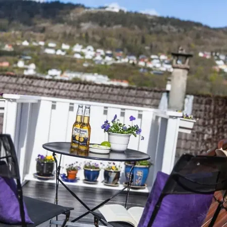 Lovely Penthouse With Private Outdoor Terrace Bergen